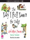 The Day I Fell Down the Toilet